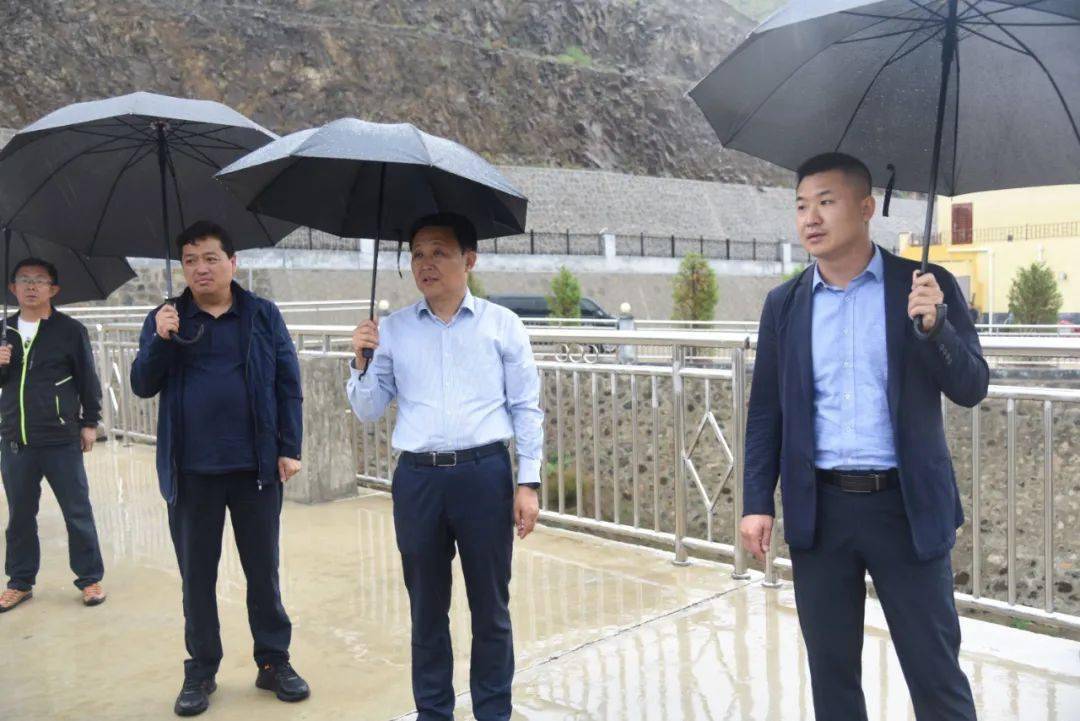 县委常委,副县长冀雪俊,县委常委,长城乡党委书记赵杰参加.