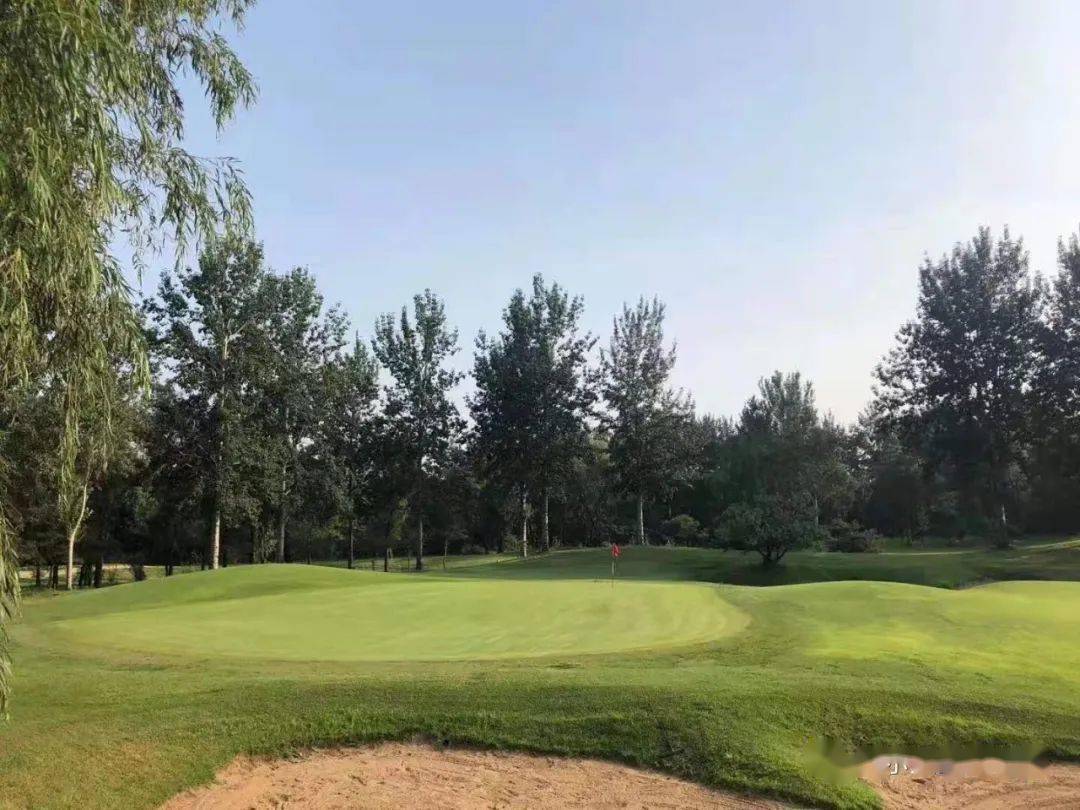 金色河畔高尔夫夏季特惠