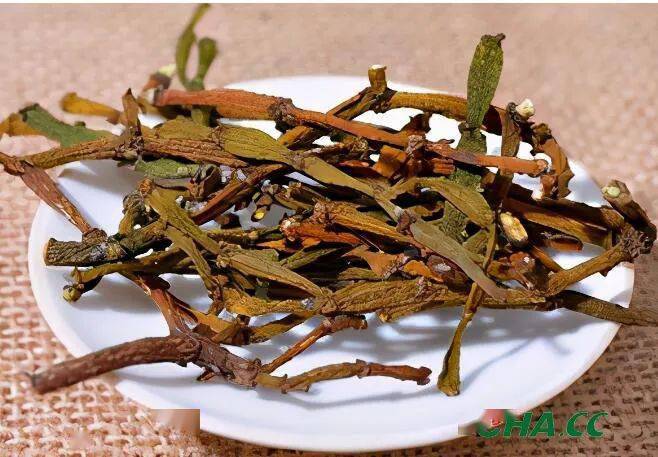 "螃蟹脚"是一种寄生在树龄较高的古乔木茶树上的寄生物,一般寄生于
