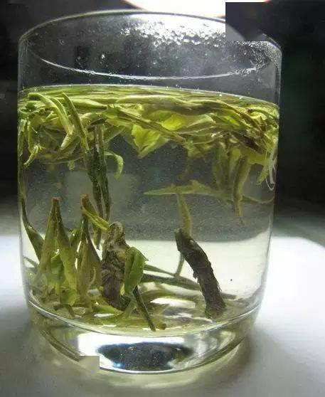 这几种"奇葩"茶,你"尝"过吗?