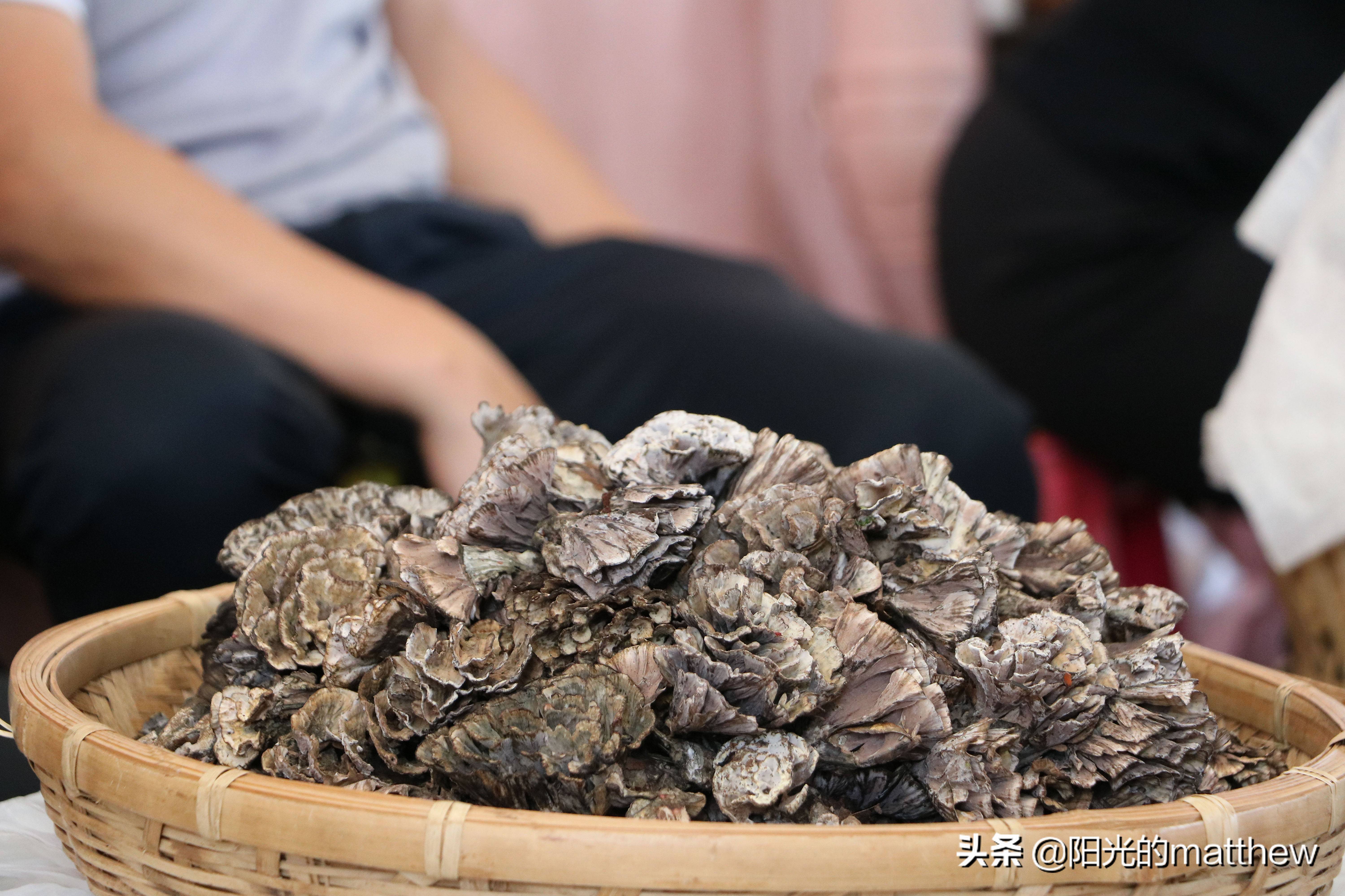 2021年6月24日,雲南昆明,在昆明春城路上的木水花野生菌市場看到,大量