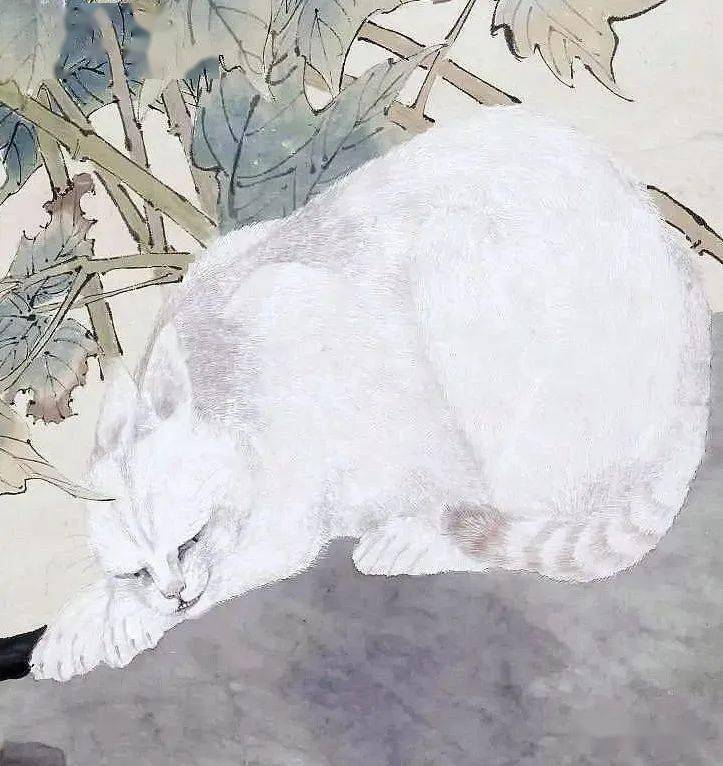 任伯年画猫真肥