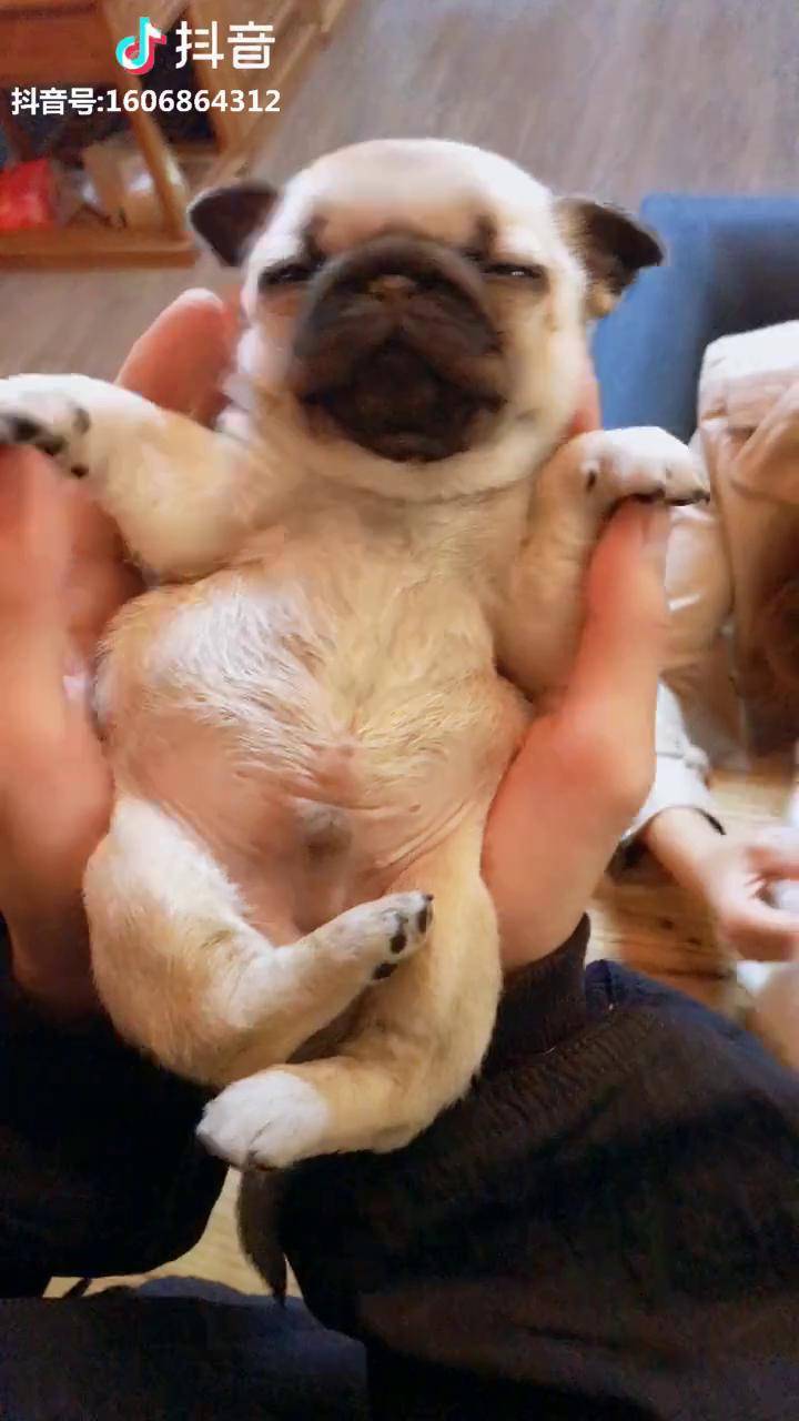 二郎腿翘的很嚣张