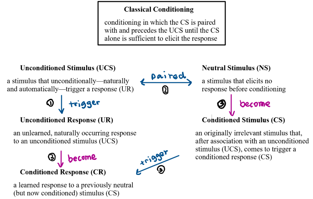 狗肉铃铛口水想到了吗