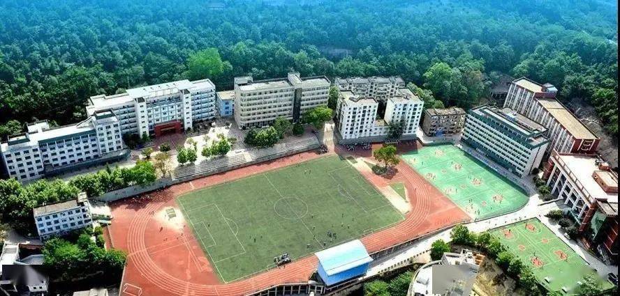 祝贺!南部中学再创佳绩