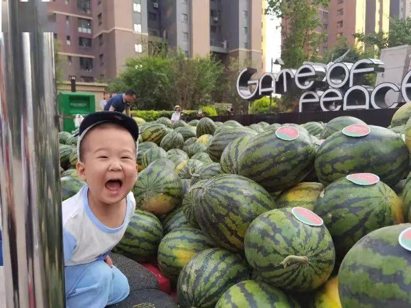 瀋陽這個小區火了!上萬西瓜免費送,還有西紅柿,大白菜