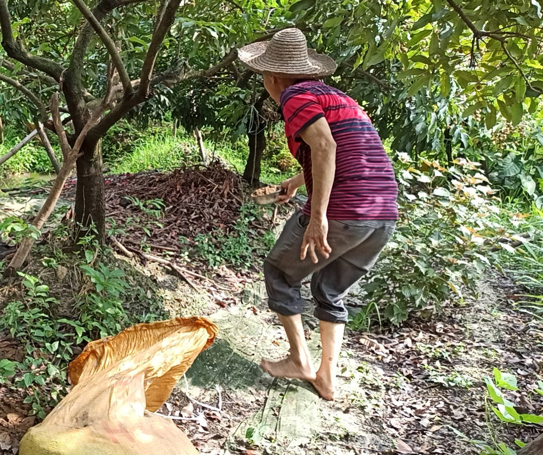 厉害啦!石门街这个处理站日"吞"10吨垃圾,产生有机肥料75千克