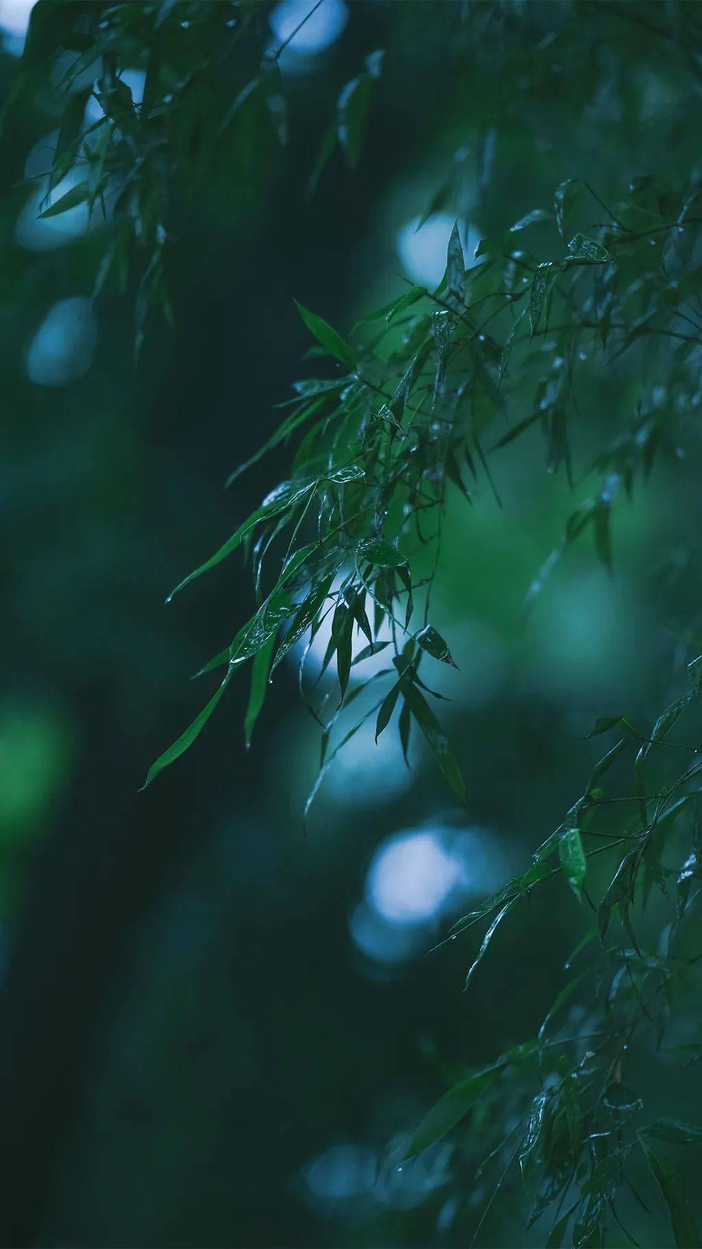 听琴枕上诗书闲处好门前风景雨来佳