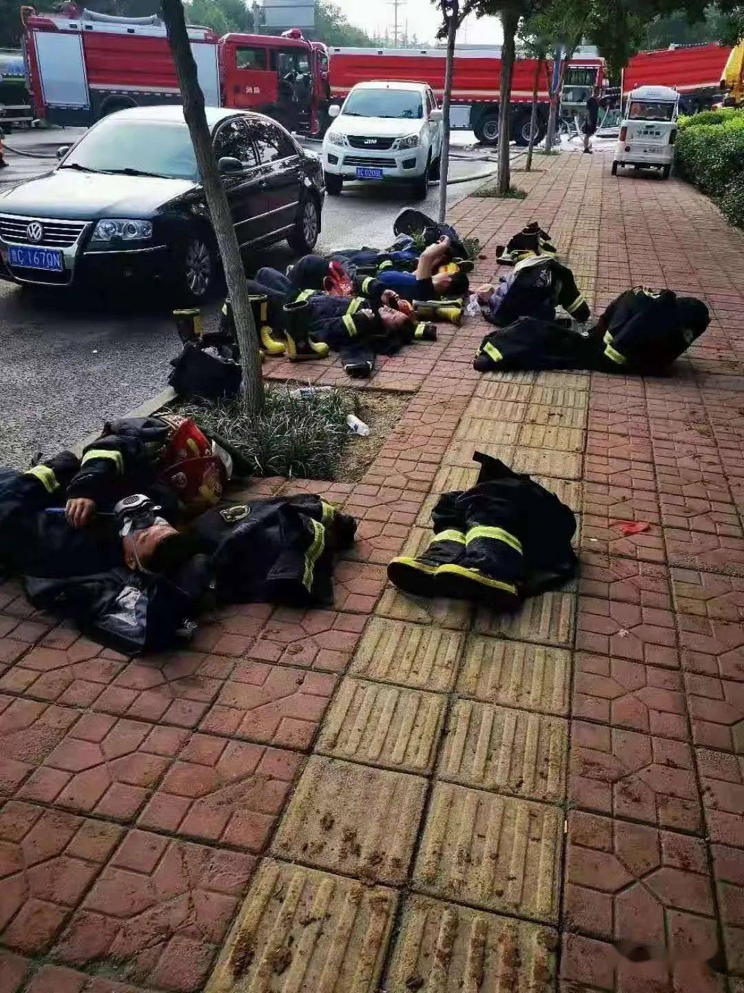 他们才是最可爱的人