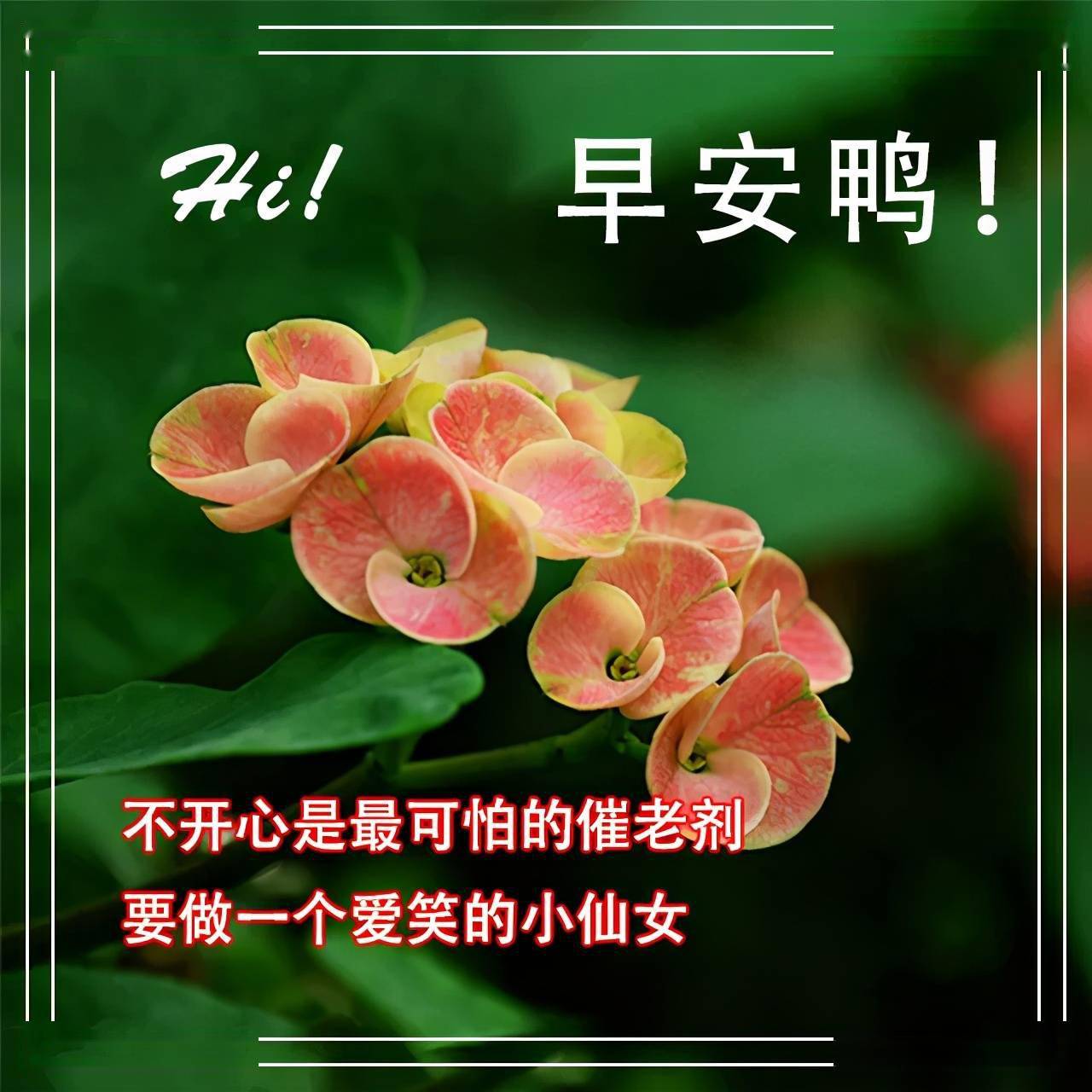 早安心情愉快的句子早安唯美图片文案