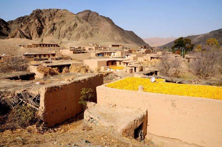 打卡网红村落消防员61接地气办实事