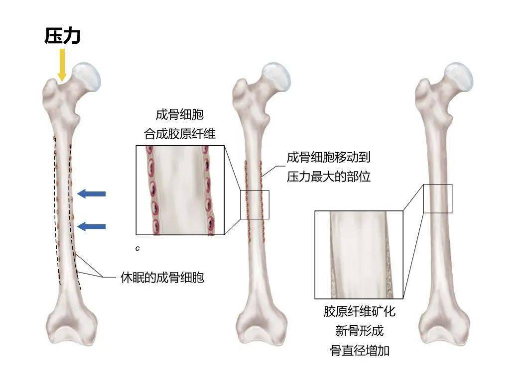 什么叫完全失重状态 a542d46ad93942f784780250ba653519.jpeg