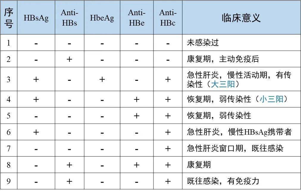 乙肝五項的常見報告模式