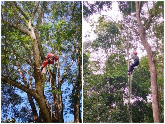 技能|追光|昆虫学家要解锁的体育技能，竟是爬树？