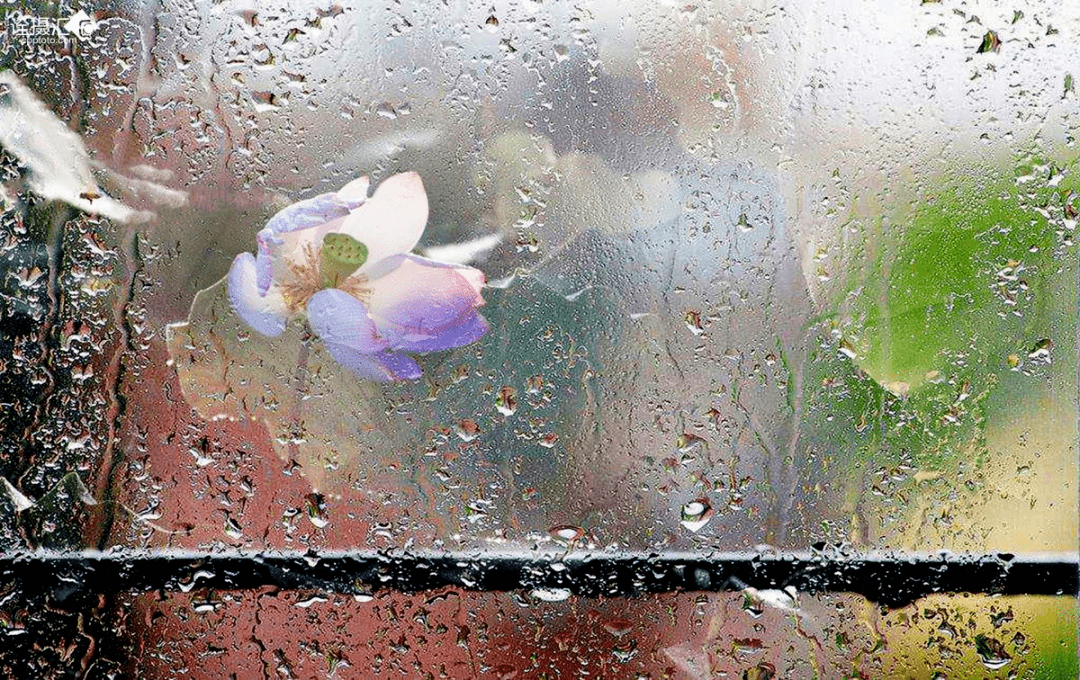 天气为主 伴有分散性短时阵雨 阳光偶尔也会露脸 周中后期,随着梅雨带