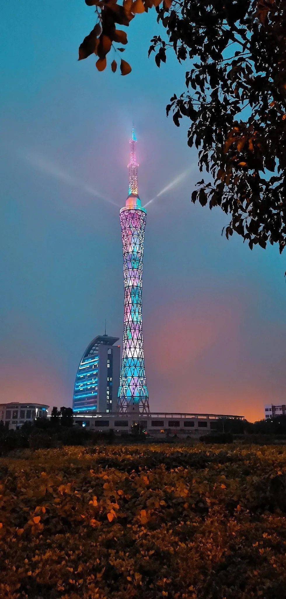 太迷人了一大波组图带你云体验海安夜景