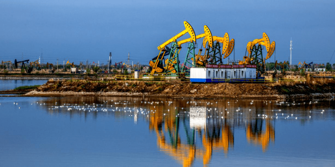大庆市文广旅局推出红色旅游周活动