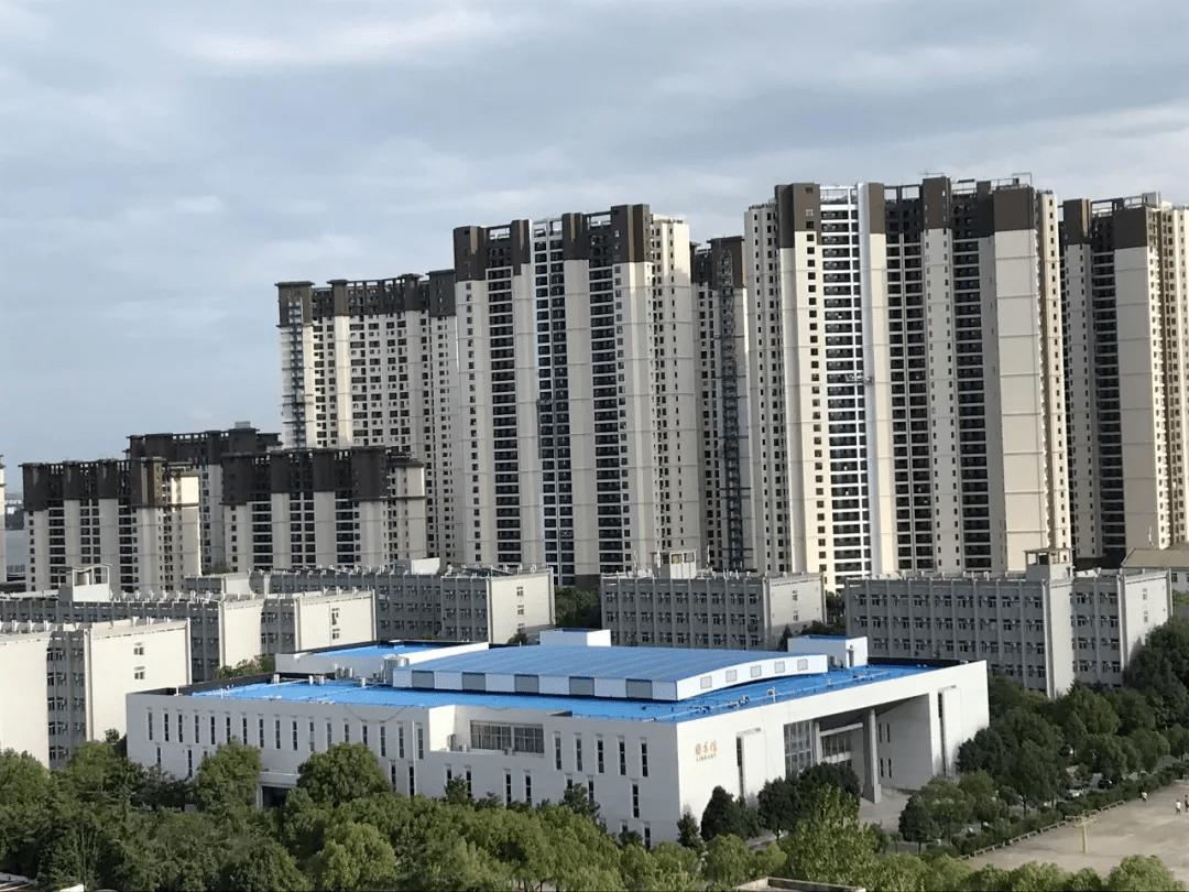 青春c603武信yyds