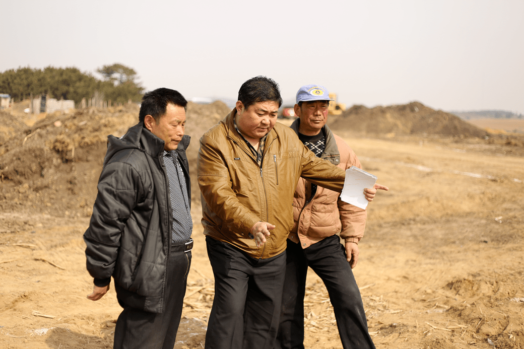 安师大黄松图片