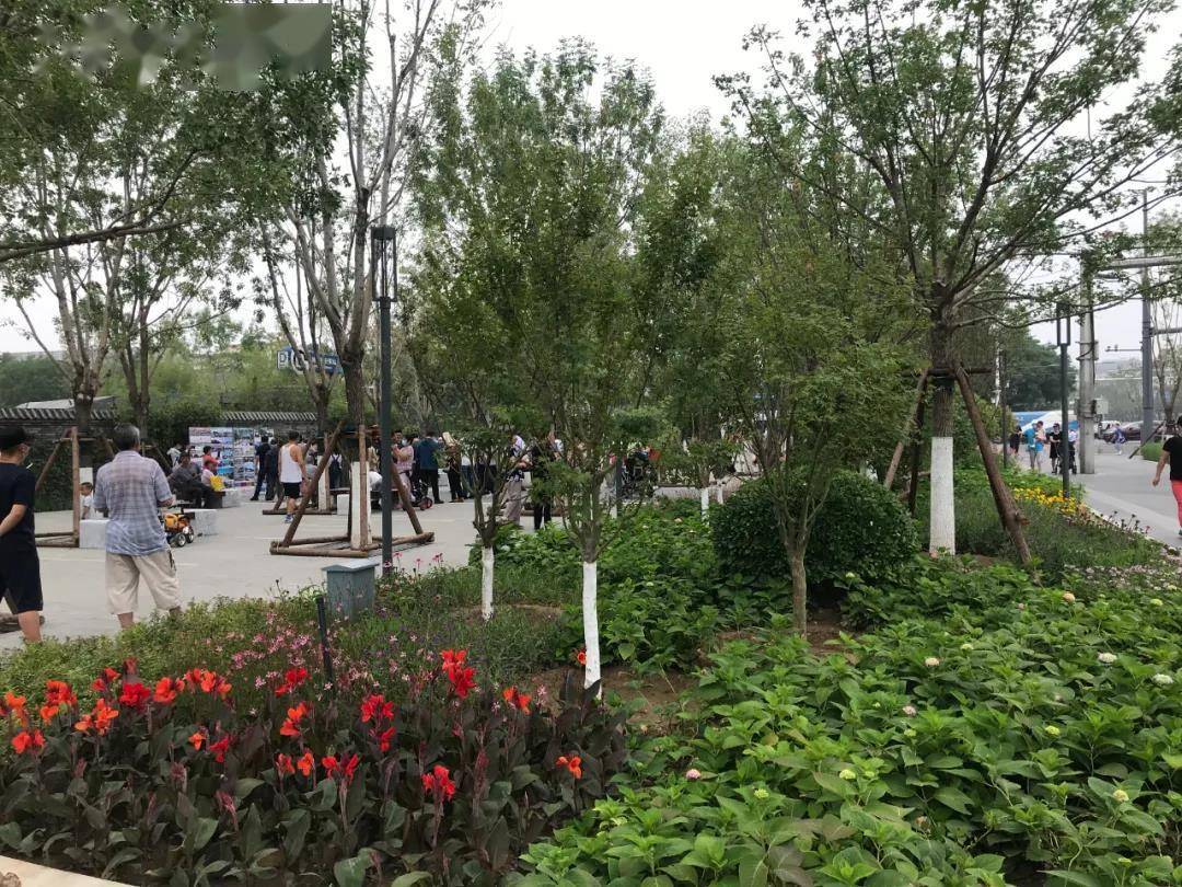 针对平安大街整治提升工程西城段改造进展,西城区城管委主任张丁表示
