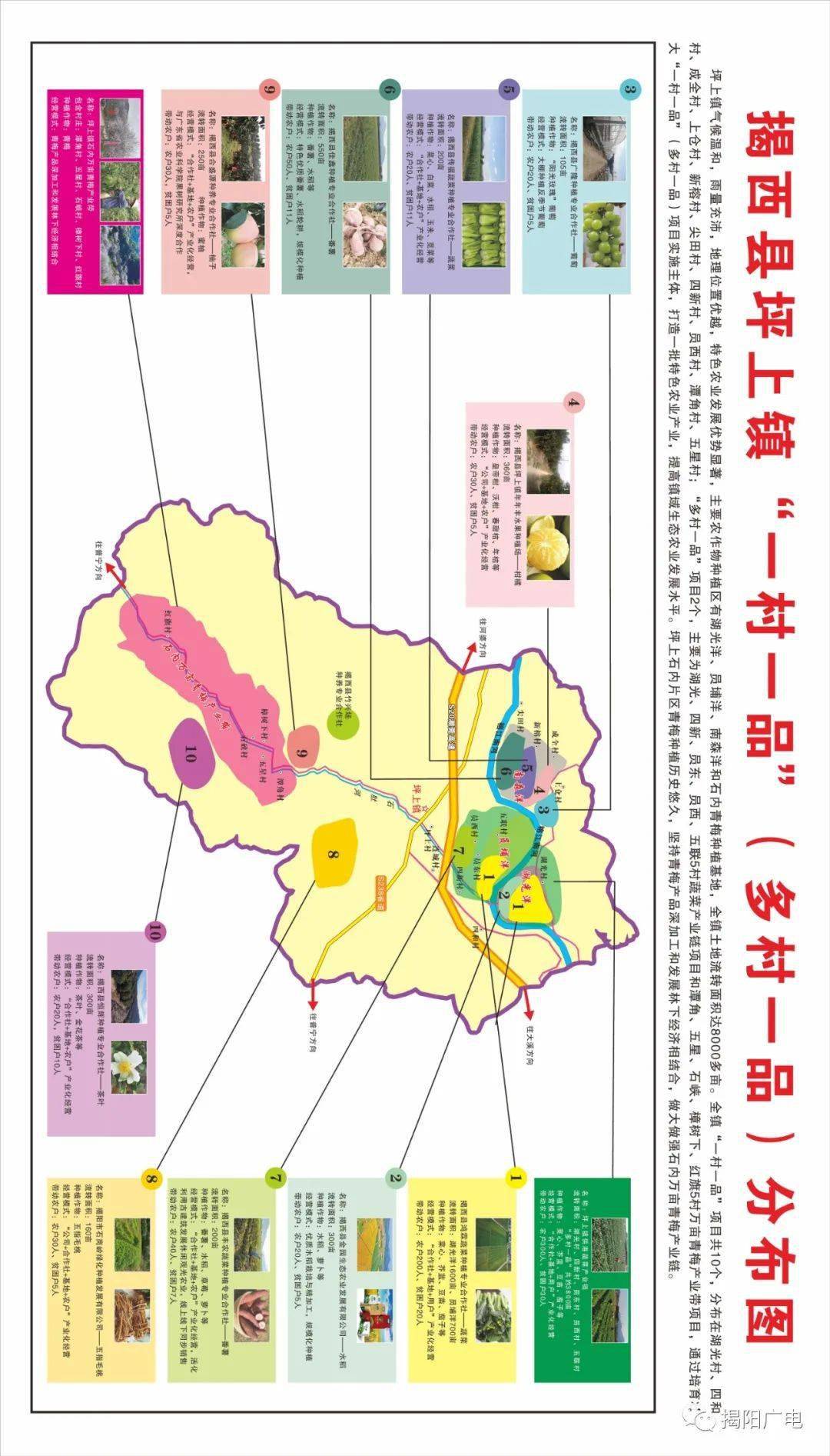 揭西坪上十个轮子带旺一方热土