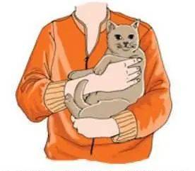 后颈|铲屎官养猫的坏习惯 ｜ 没错，说的就是你～