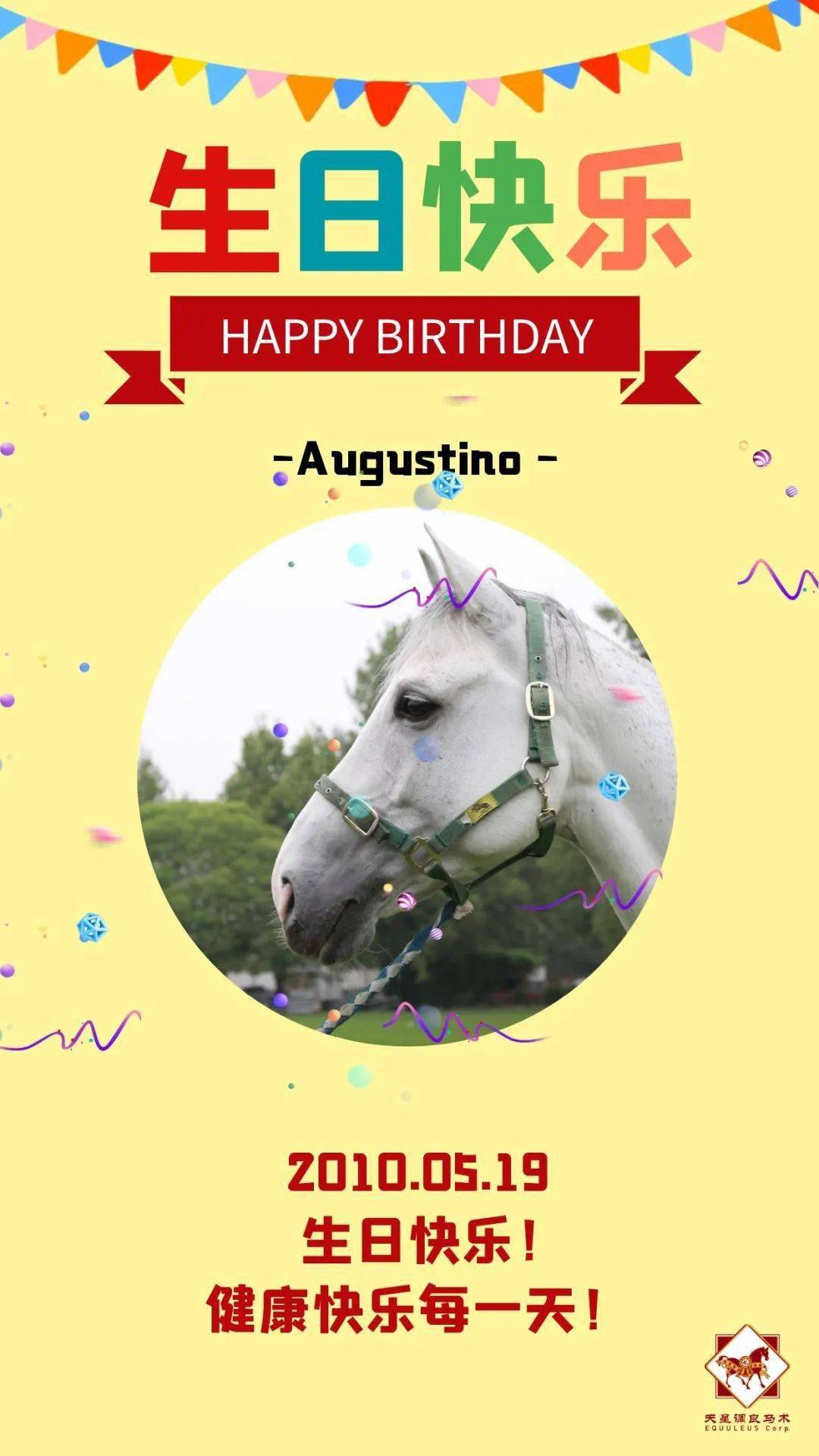 20周年庆系列马匹篇祝夏季生日的寿星马儿们生日快乐下