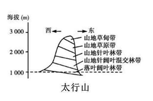 山地垂直自然带谱规律图片