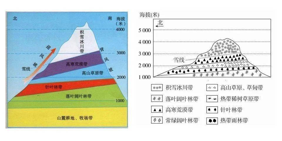 考点18座山脉的垂直自然带谱总结全了