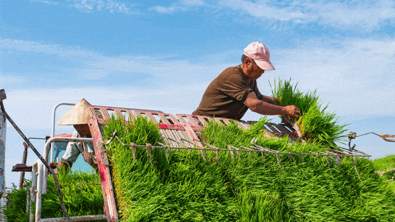 800_450gif 动态图 动图