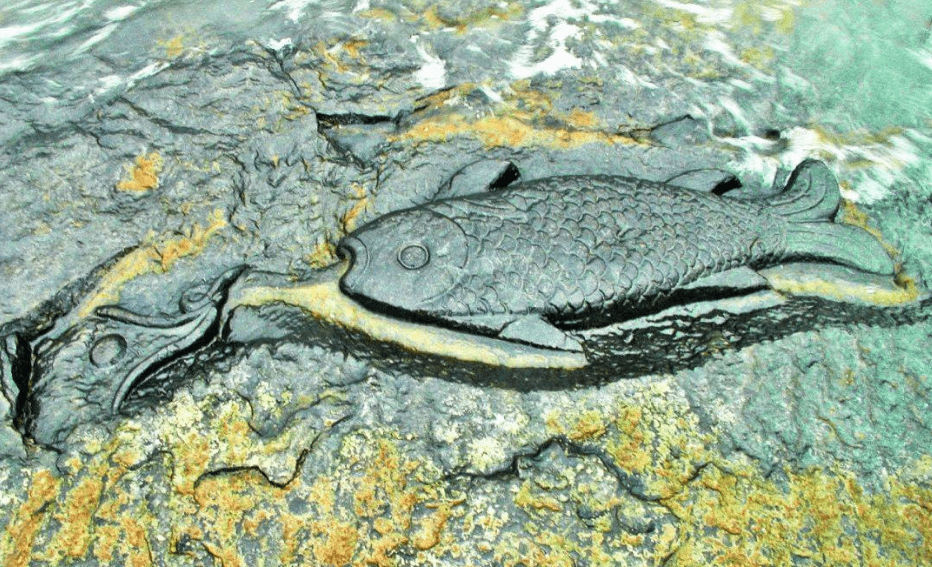 石鱼出水以兆丰年白鹤梁神女皮肤初体验北北皮肤中的天花板