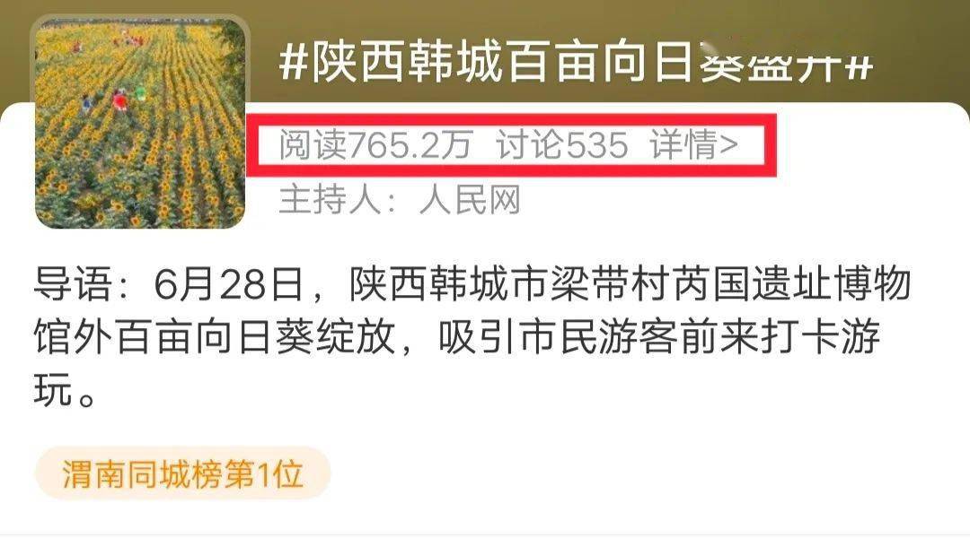 韩城芮博向日葵花海冲上微博热点榜单 视频内容被环球日报 中国日报 人民网关注转发 古城