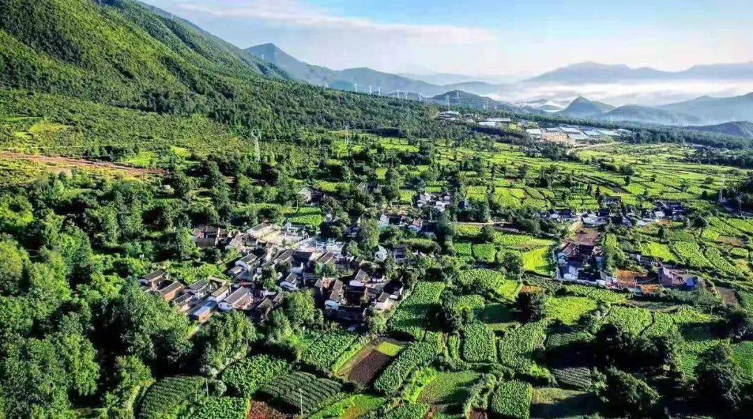 鹤庆县长张洪军与西邑镇基层干部共话乡村振兴工作