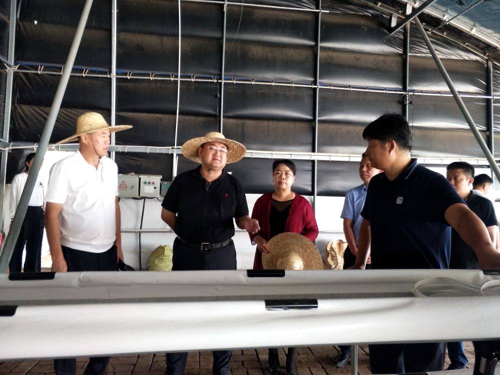 县委书记风采 | 旱地拼出现代农业"高地"——记山西省晋中市太谷区委