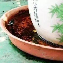 病毒|广东疾控提醒！7月要重点防范4种病
