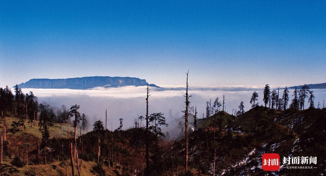 百城行丨优良生态吸引游客留下开客栈 四川森林覆盖率第一县开启新一