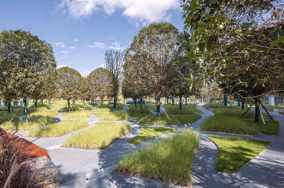 你那只能叫草地这种才叫公园不容小觑的公园案例分享