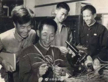 袁隆平杂交水稻论文原始手稿，满篇赤诚！