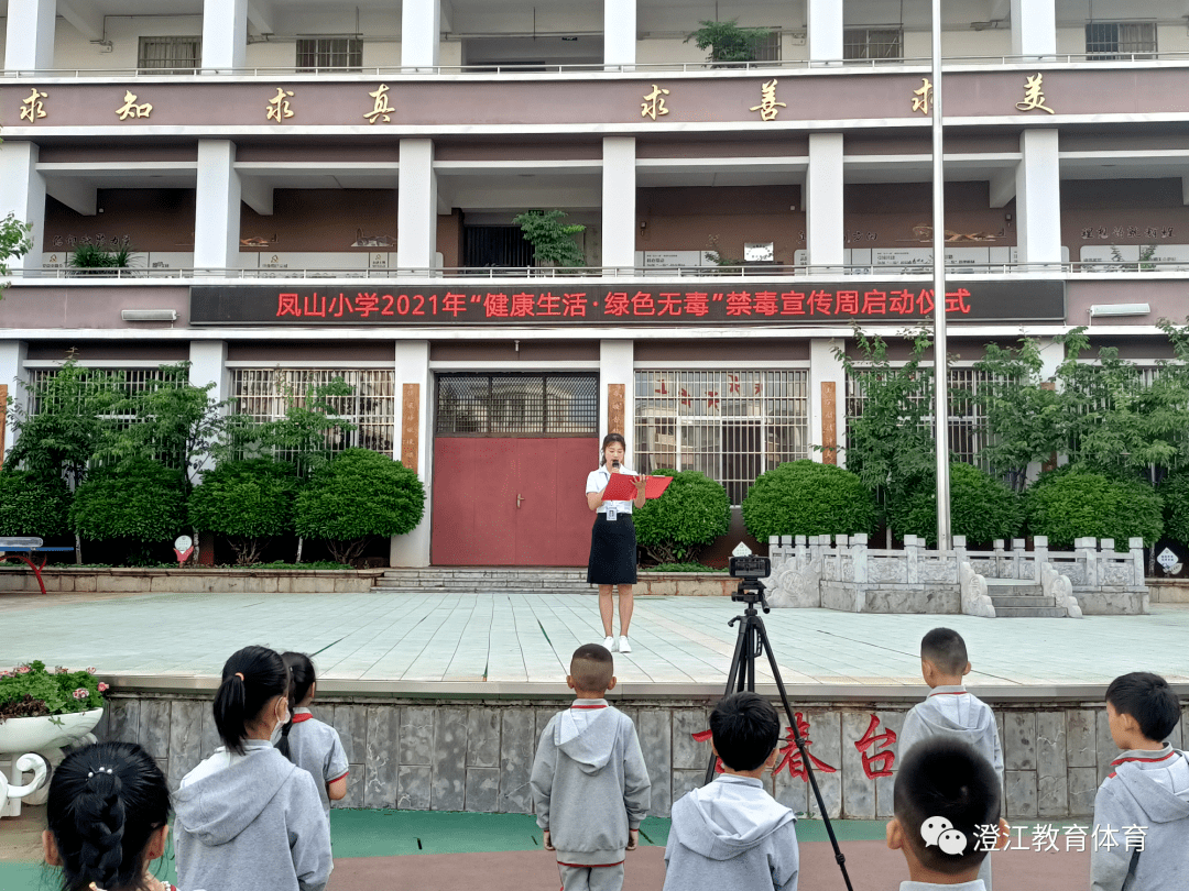 恩平市凤山小学图片