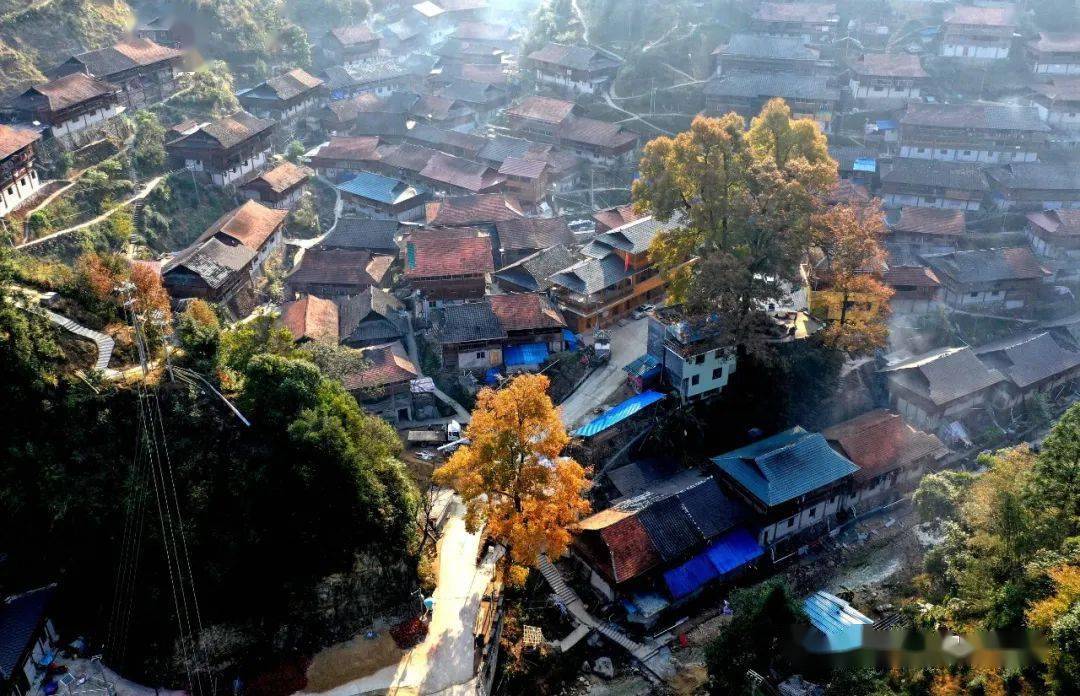 【乌英苗寨蹲点日记】一年前还不会讲普通话的她们