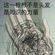 干细胞|太胖就会变秃，这回真的有依据了，日本学者发现肥胖会诱导毛囊衰竭