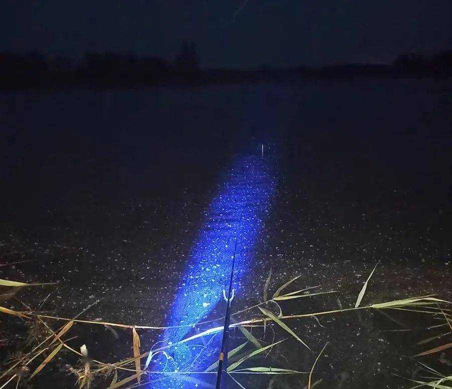 晚上鱼口一定好难怪你经常空军夏季夜钓有四不钓