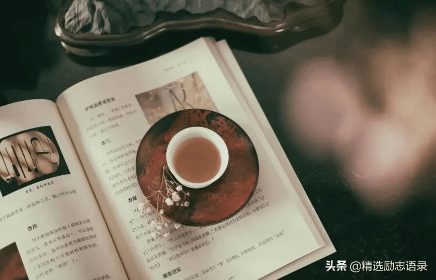 一茶一書一知己,不負歲月不負卿