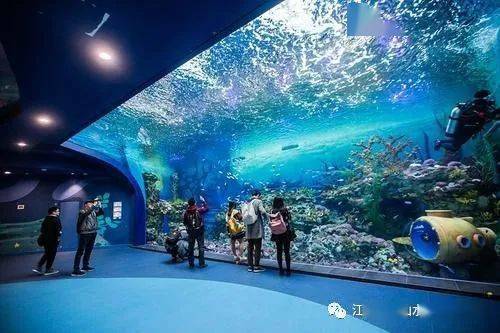 山水暑期短途自组团7月1011日上海海昌海洋公园东方明珠外景金茂大厦