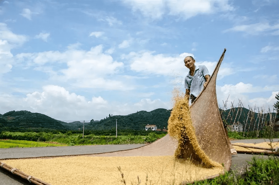 农村户口的内江人抓紧回老家一趟!你们家乡大变样