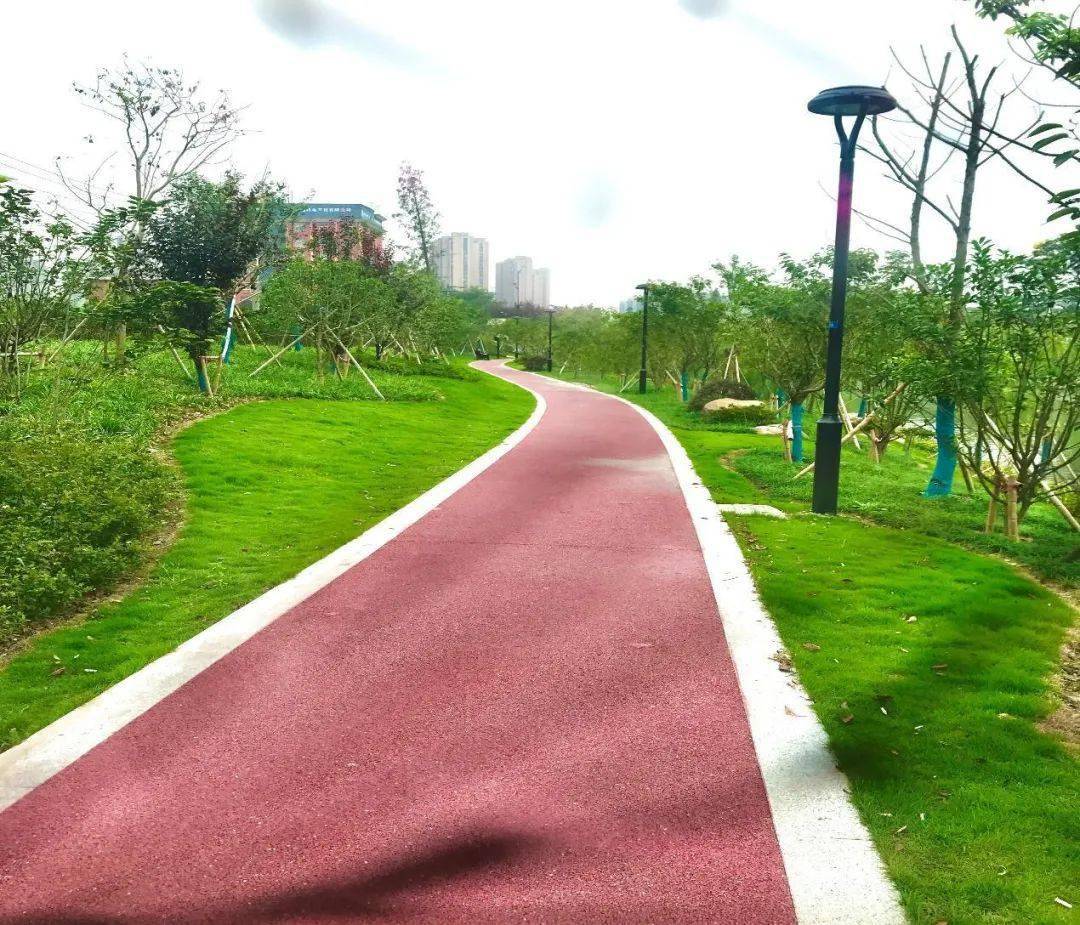 用于灌溉绿化经过生态排水沟自然净化后能加大雨水渗透量沿岸道路使用