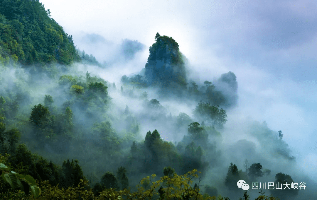 空山新雨后雨后的巴山形成一幅水墨画卷
