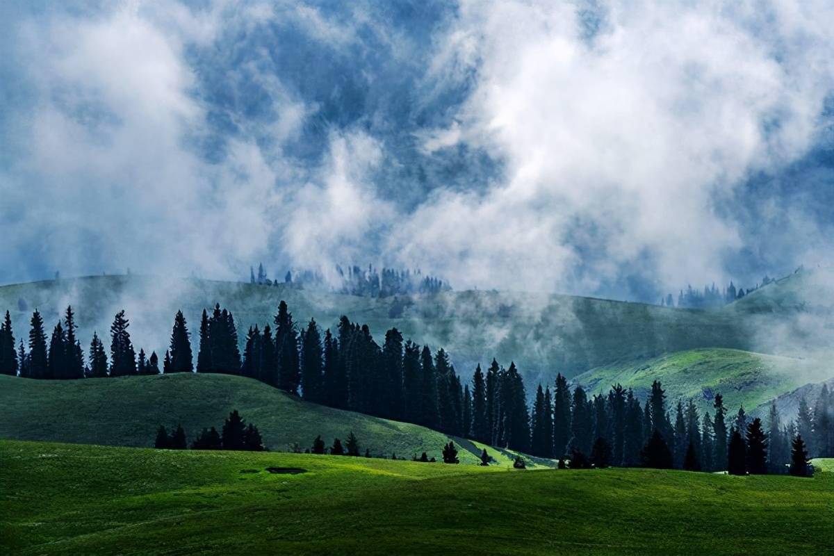 新疆尼勒克县 阿克塔斯牧场_布拉克