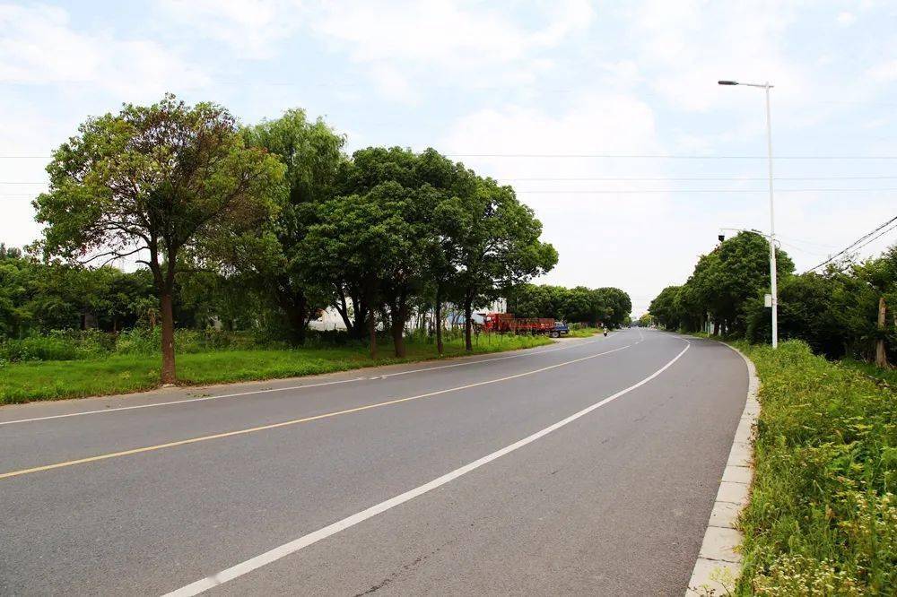 "十三五"社会事业和民生工程巡礼之四:道路公园"绣"出美丽临港新画卷