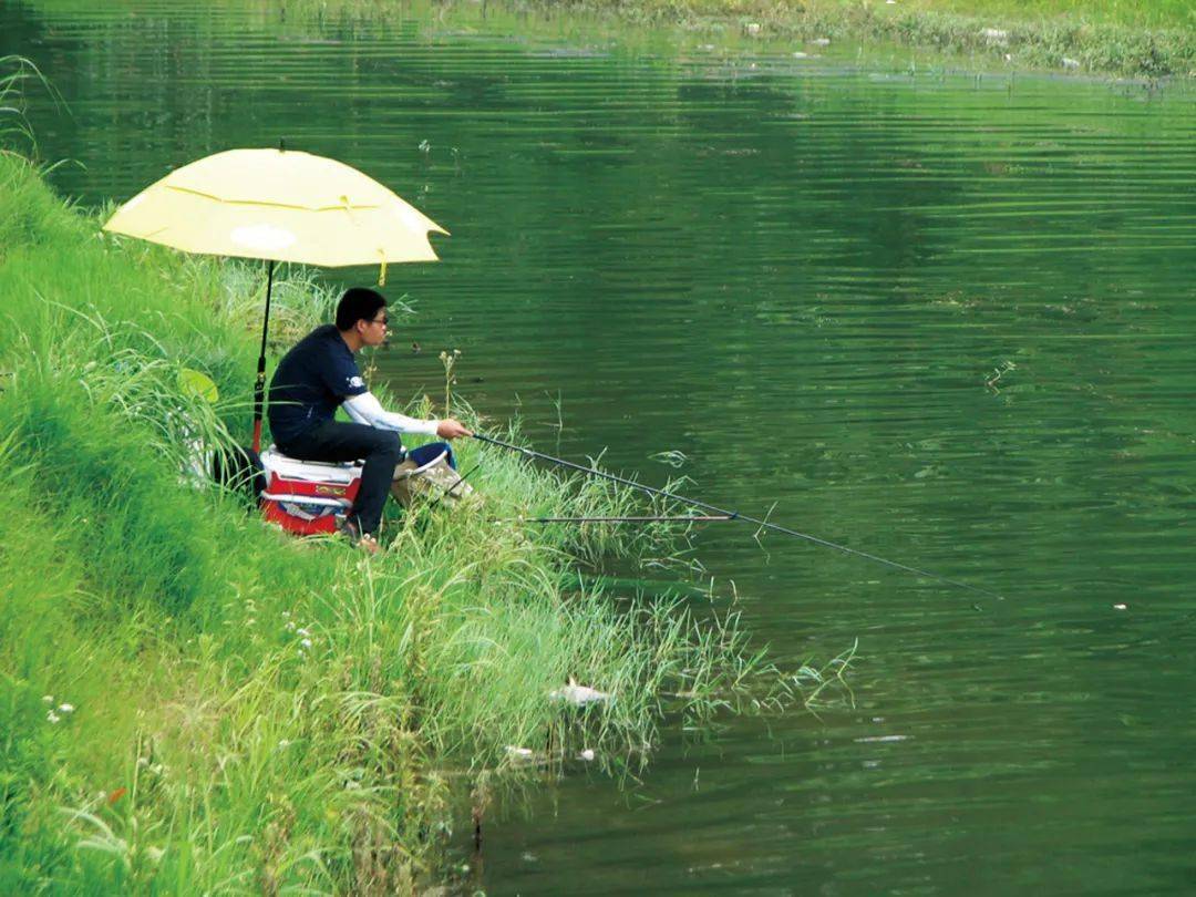 小坑塘,盛夏池塘巧钓鱼_水温